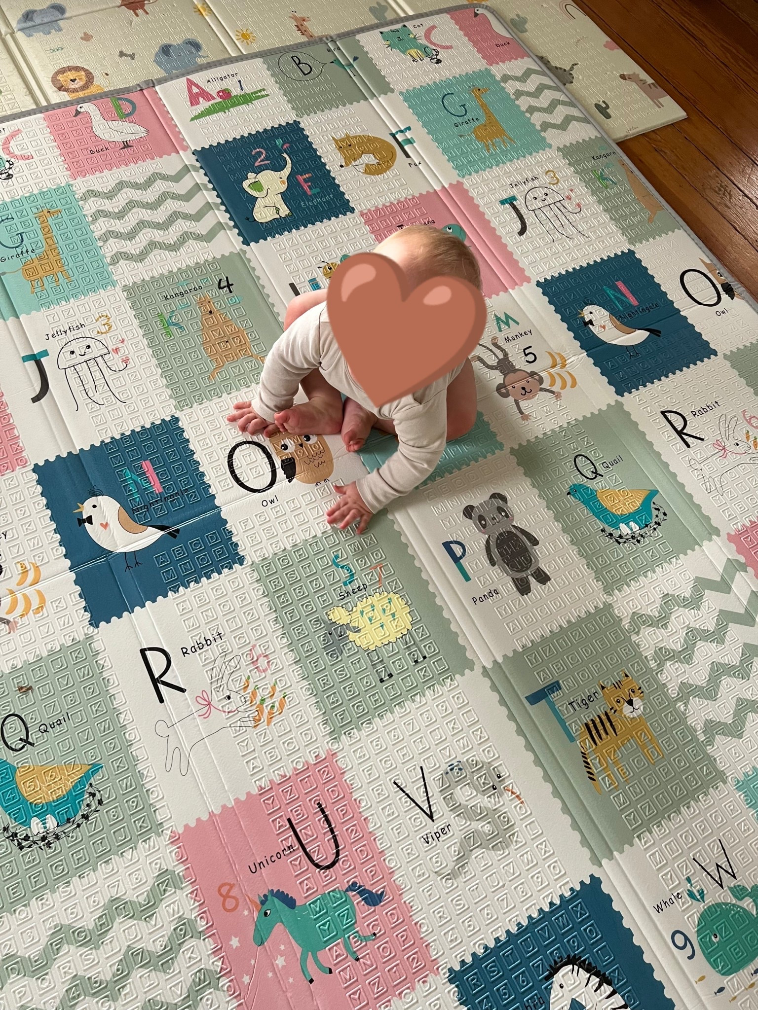 Folding play mat 🤎


#LTKKids #LTKFamily #LTKFindsUnder100