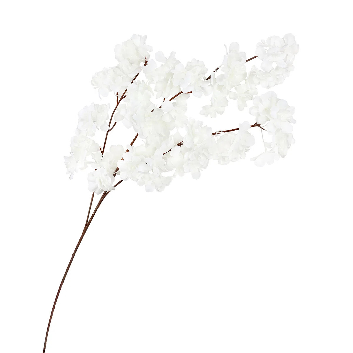 Torrez Cherry Blossom Arrangement (Set of 4) | Wayfair North America