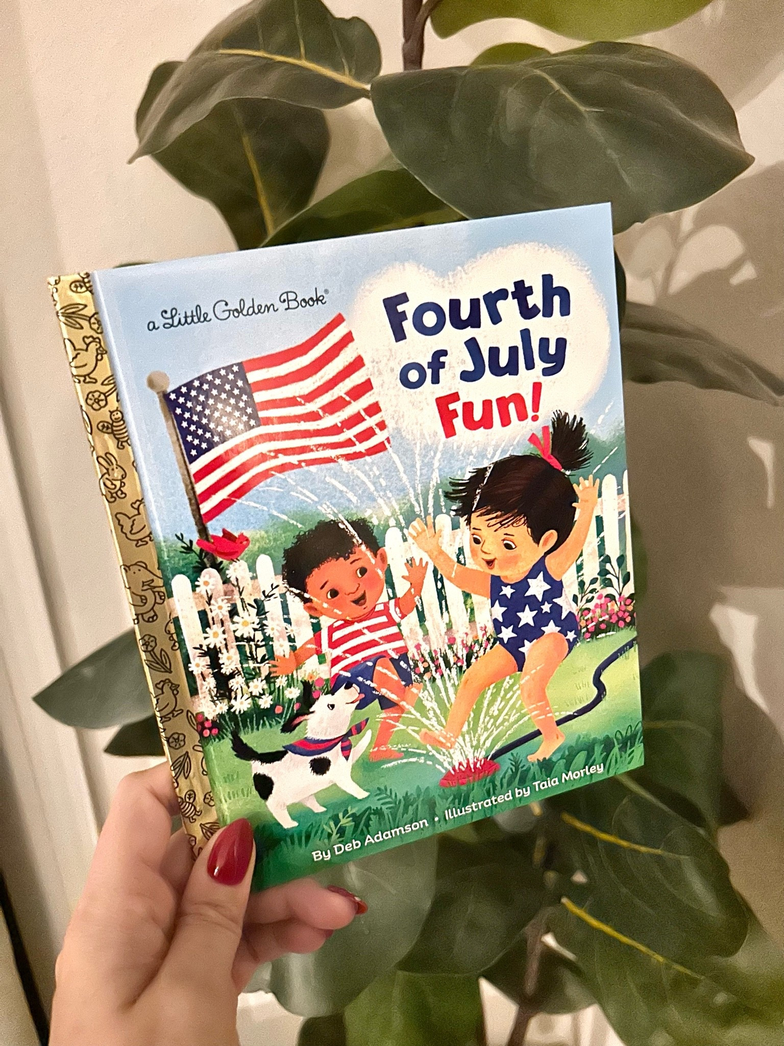 4th of July book!