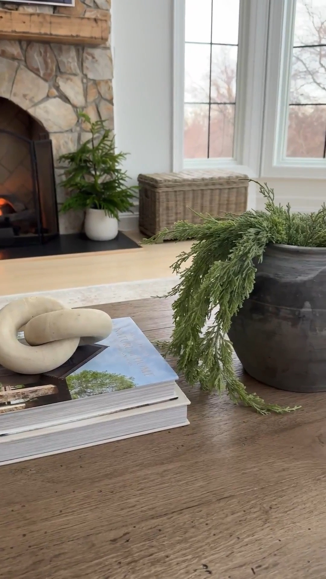 Home | Home Decor | Home Finds | Modern Home | Neutral Home | Neutral Style | Arched Manor | Wayfair Home | Target Home | Lighting | Spring Decor | Living Room | Coffee Table | Amazon Home | Amazon Finds #homedecor #archedmanor #modernhome #neutralstyle 

#LTKSeasonal #LTKHome