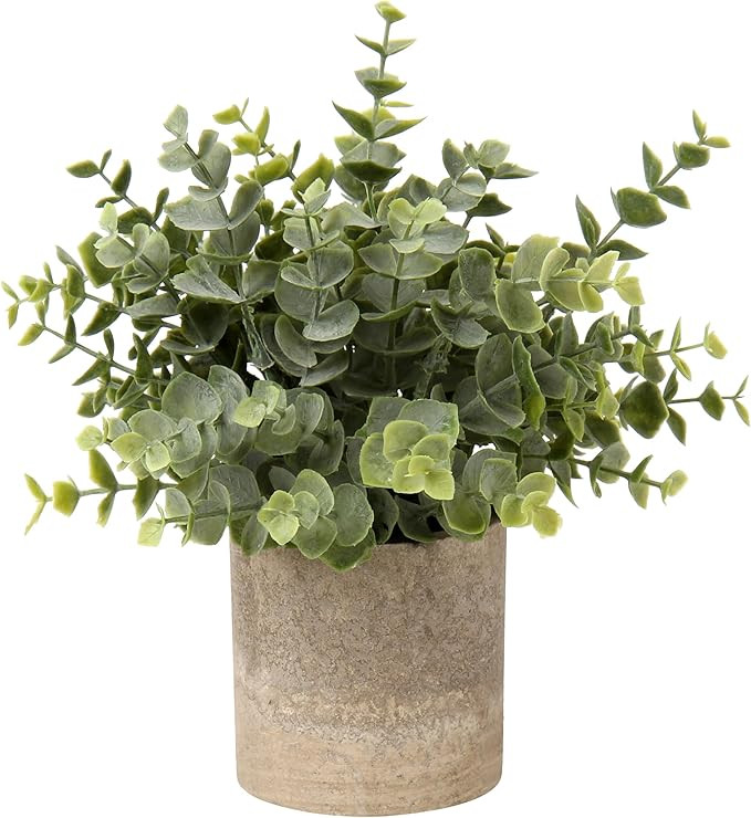 Briful Small Fake Plants Artificial Mini Potted Silk Plants Faux Eucalyptus Decorative Plants for... | Amazon (US)
