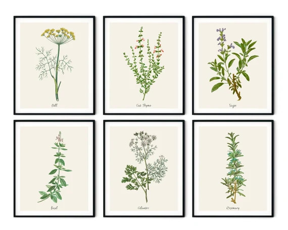 Vintage Kitchen Herbs Prints Set of 6  Botanical Art Print | Etsy | Etsy (US)