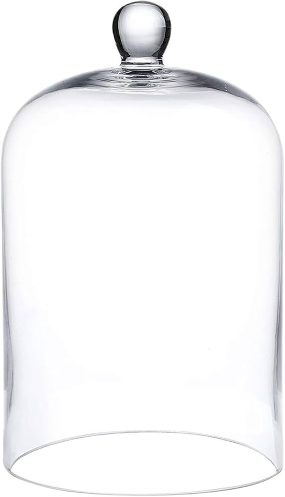 WHOLE HOUSEWARES | Cloche Glass Dome | Clear Glass Bell Jar | DIY Snow Globes | Decorative Cloche... | Amazon (US)