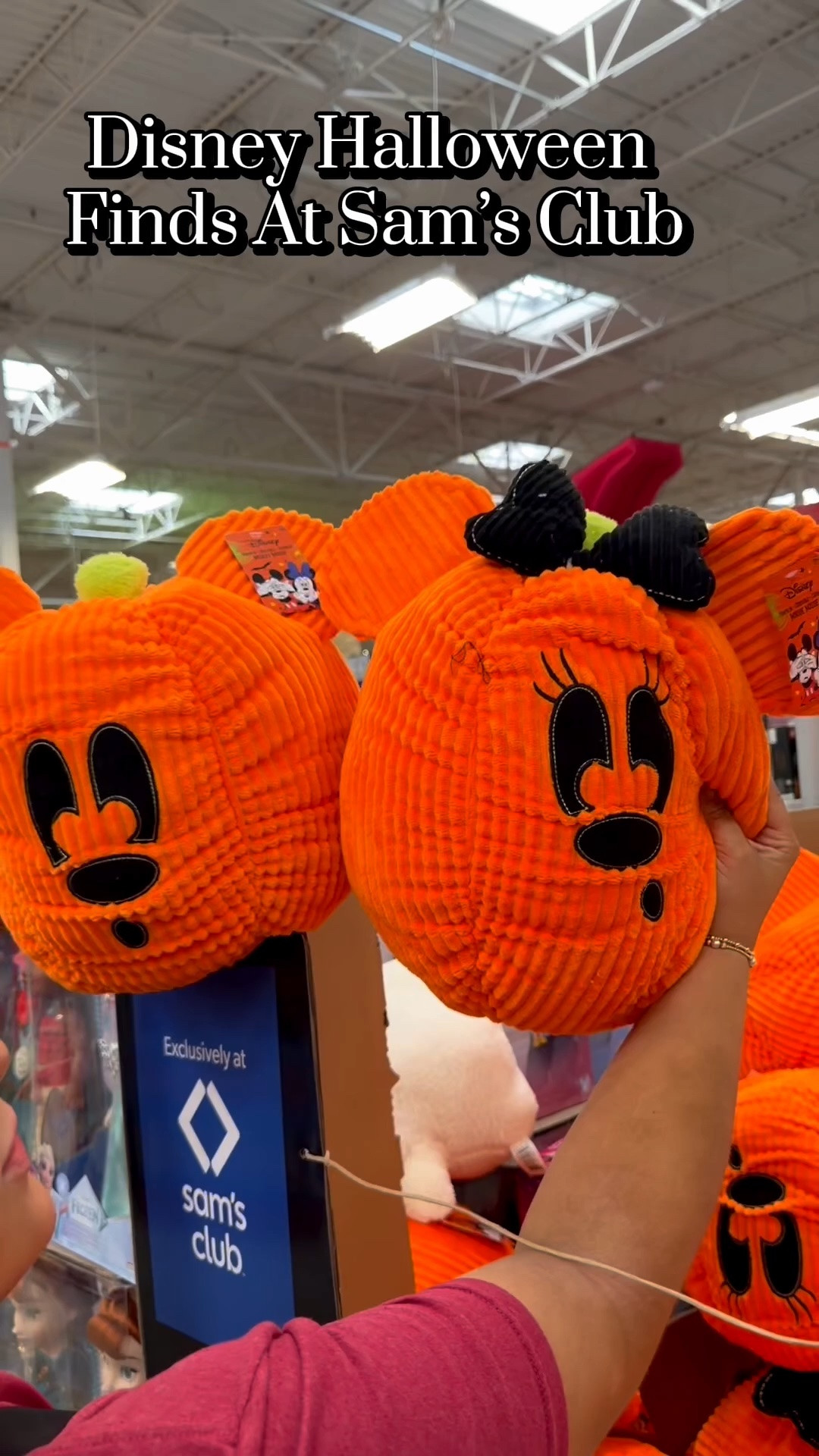 🎃👻 Halloween Disney finds at Sam’s Club 👻🎃

Disney, Halloween, Sam’s Club, Sam’s Club finds, spooky season, Minnie Mouse, Mickey Mouse, Halloween decor, bubble wands, bluey, Mickey, pumpkin, Disney finds

#LTKSeasonal #LTKHome #LTKvlog