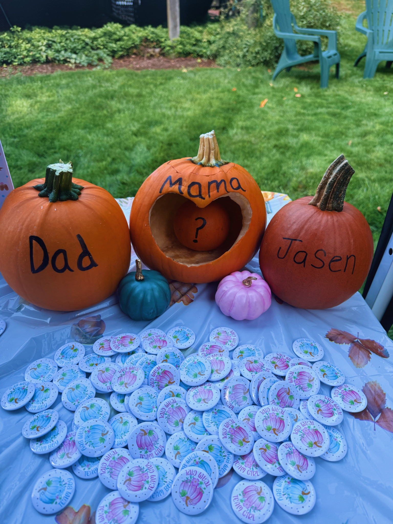 Mini Blue + Pink Pumpkins and Pins 

#LTKSeasonal #LTKBump #LTKHalloween