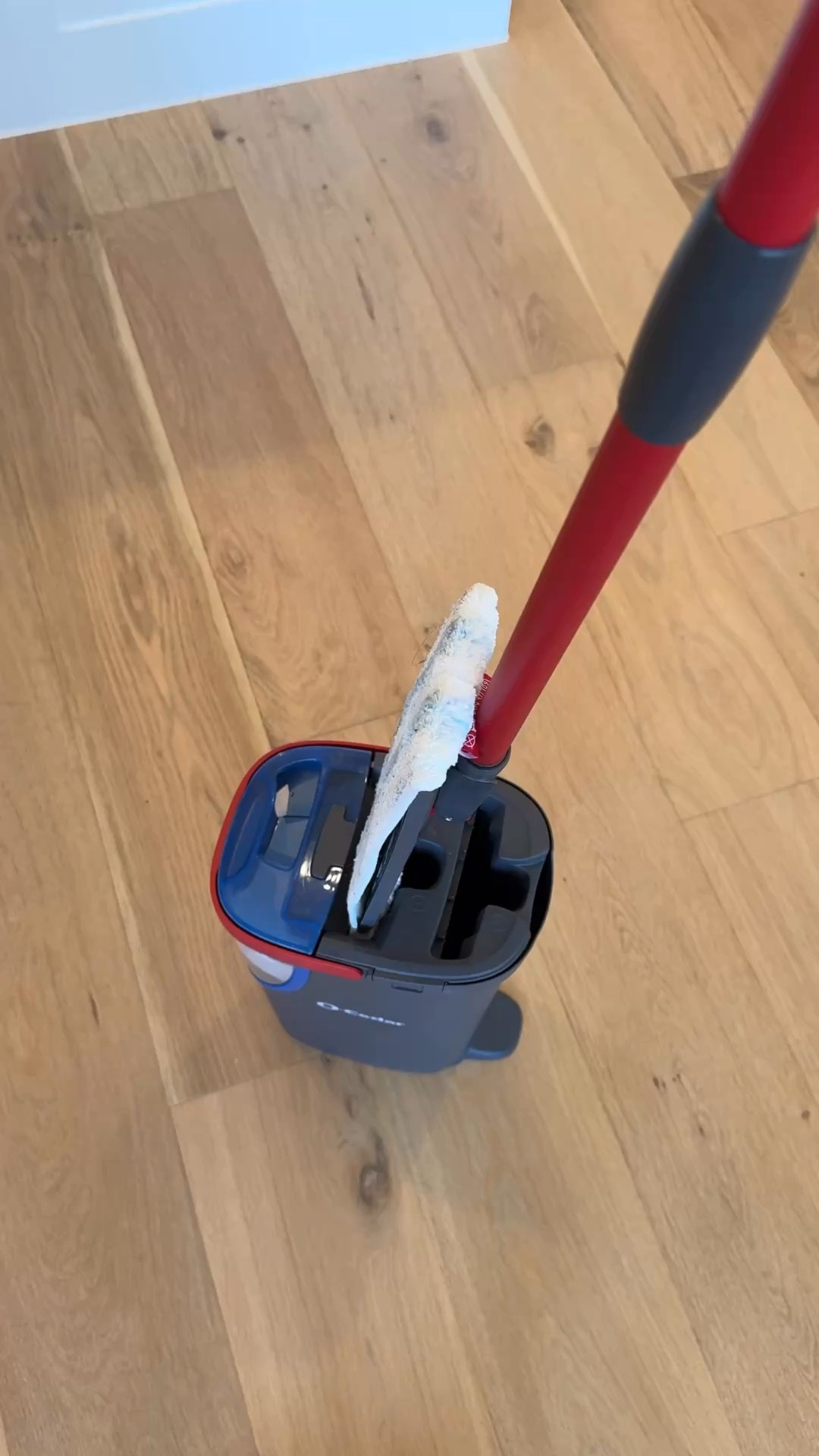 If you have hardwood floors, this mop system has been a game changer for keeping them clean without leaving streaks. I love that it wrings out easily and doesn’t over-saturate the floors. Sharing my go-to hardwood floor cleaning routine and the other affordable cleaning tools I use to keep our home fresh and reset at night. Perfect for busy moms, everyday home cleaning, and easy floor care. Also linking my other nontoxic cleaners 

Hardwood floor cleaning routine, best mop for hardwood floors, spin mop system, O Cedar mop review, home cleaning essentials, affordable cleaning tools, neutral home maintenance, how to clean wood floors without streaks, daily home reset routine, Amazon cleaning favorites.

#LTKdayinmylife #LTKvlog #LTKmomlife