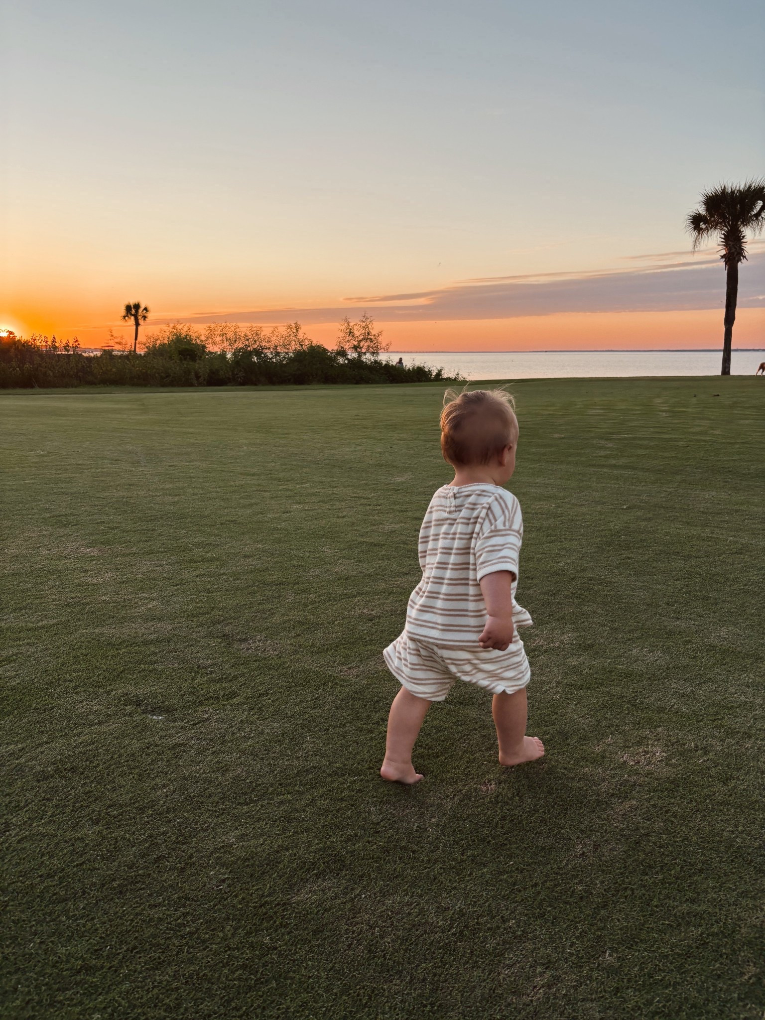 Fall clothes faves with Rylee and Cru 

https://ryleeandcru.com/products/camden-long-sleeve-tee-brown-stripe?variant=44430543192111&lc_ambassador_id=Y3VzdG9tZXI6NjMxNjQzNw

Use discount code mpandalec for 15% off 