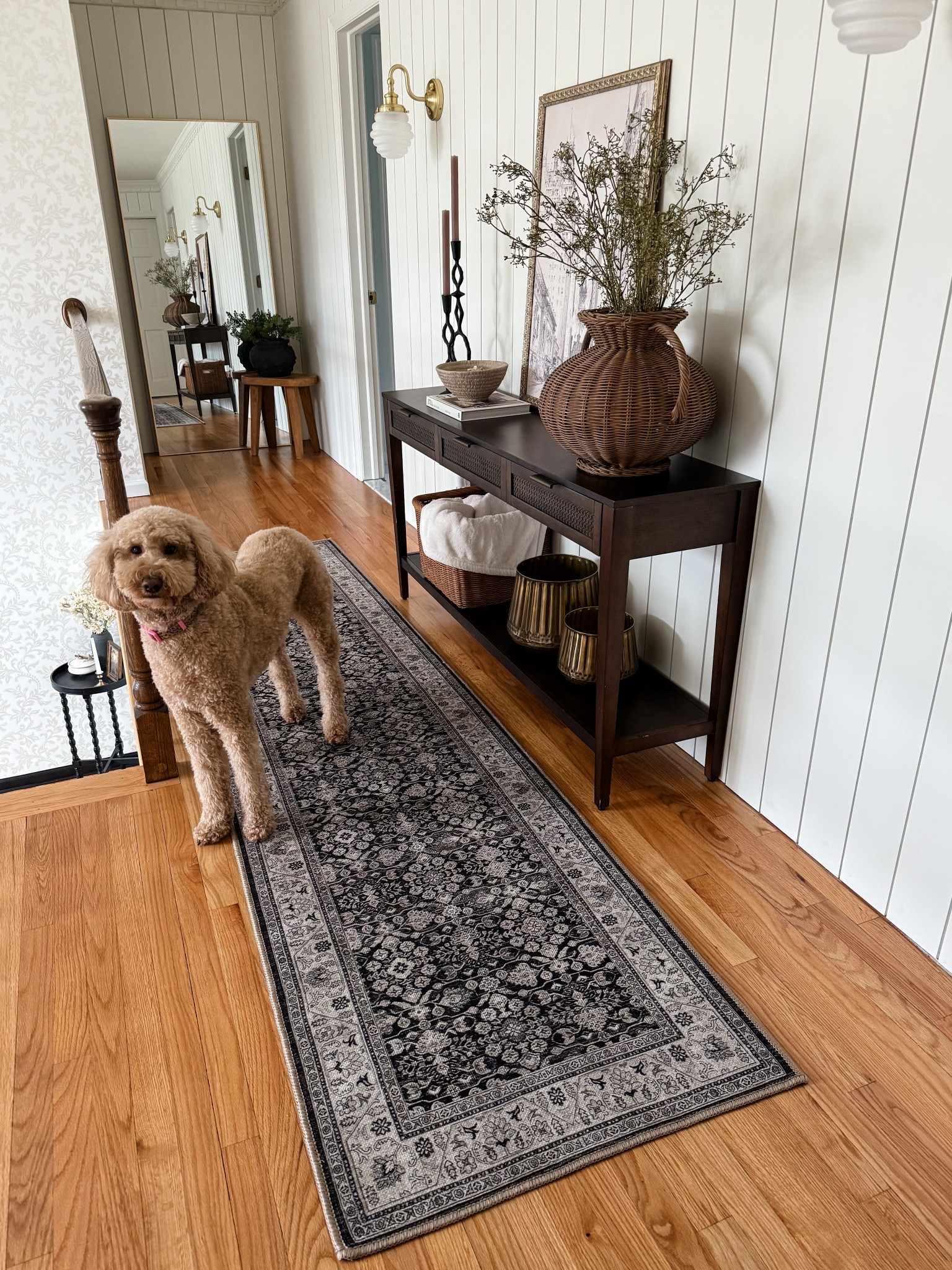 Runner rug
Vintage inspired
Amazon spring sale
Black and ivoryy

#LTKFindsUnder100 #LTKHome #LTKSaleAlert