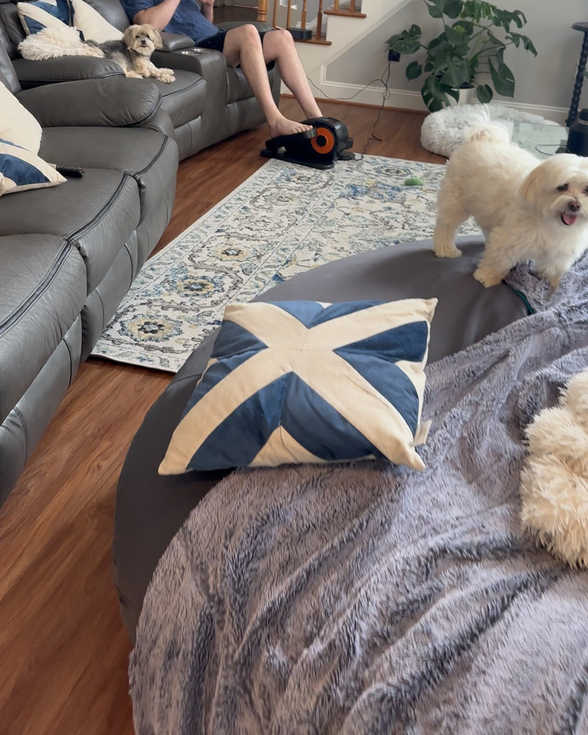 workout while working❕

#LTKSaleAlert #LTKFitness #LTKActive