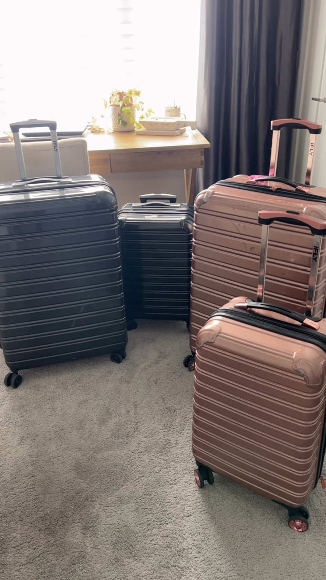 Best luggage you will ever buy! 

#LTKStyleTip #LTKTravel #LTKFindsUnder100