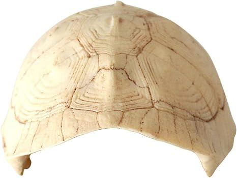 POPETPOP Resin Turtle Shell Basking Platform 5.0x3.9x2.2In – Non-Toxic Hideout & Climbing Terra... | Amazon (US)