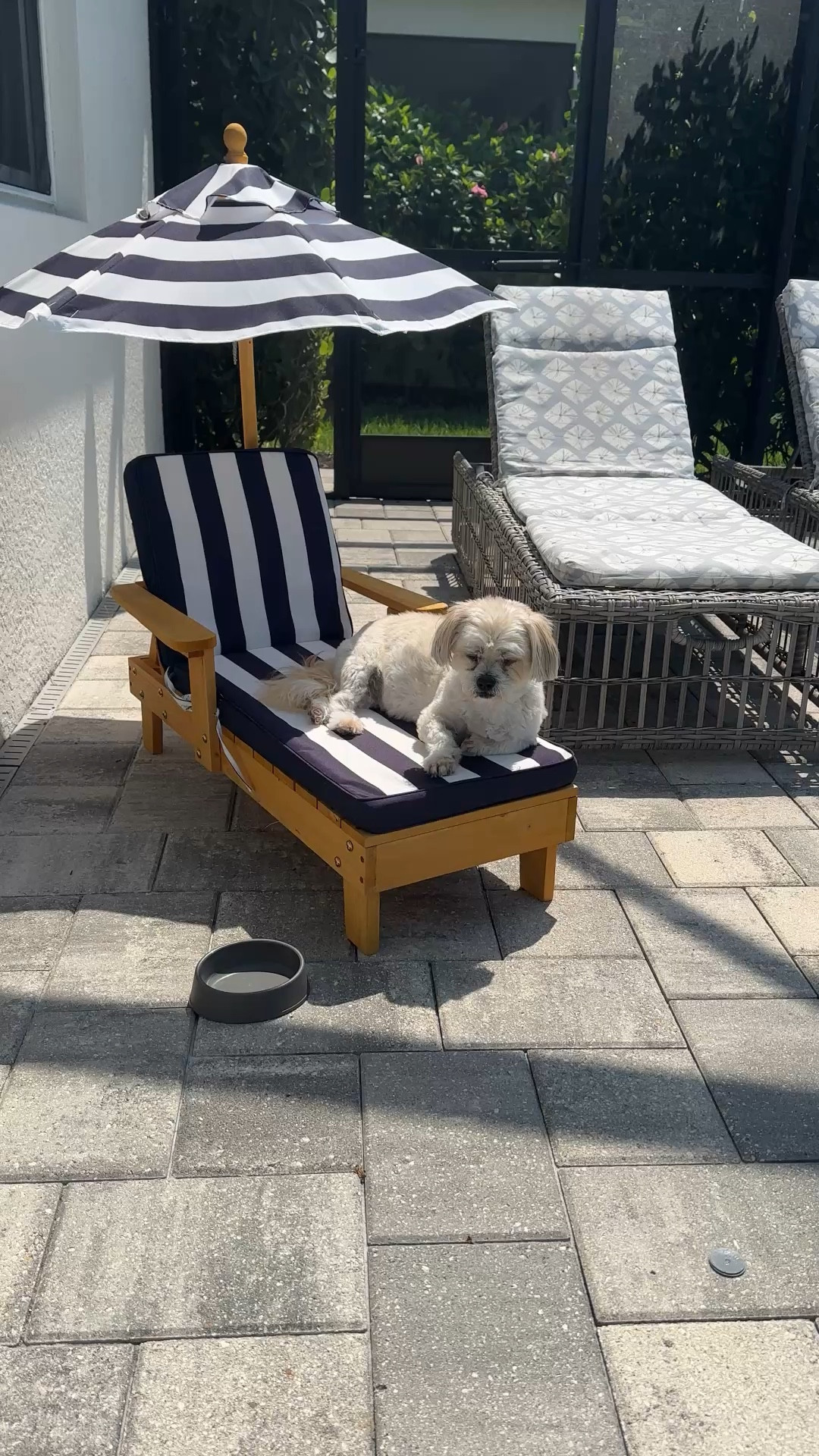 Yes, we bought a lounge chair for the dog and she loves it and I love it even more. 



#LTKdayinmylife #LTKMothersDay #LTKHome