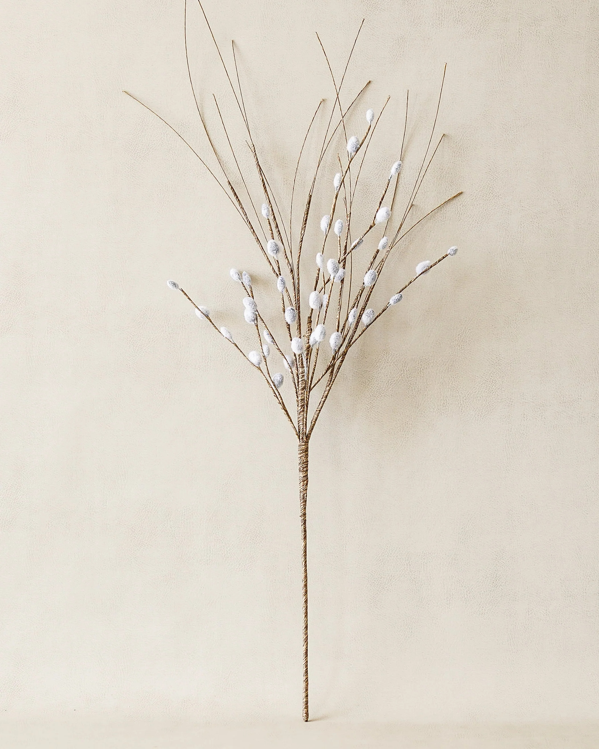 Pussy Willow Stem | MJHome