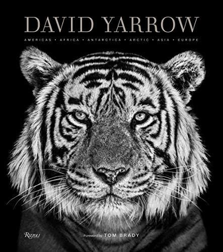 David Yarrow Photography: Americas Africa Antarctica Arctic Asia Europe | Amazon (US)
