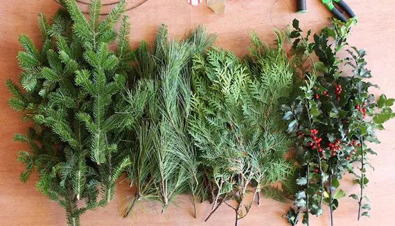 Fresh ASSORTED Evergreen Cuttings for DIY Holiday/christmas - Etsy | Etsy (US)