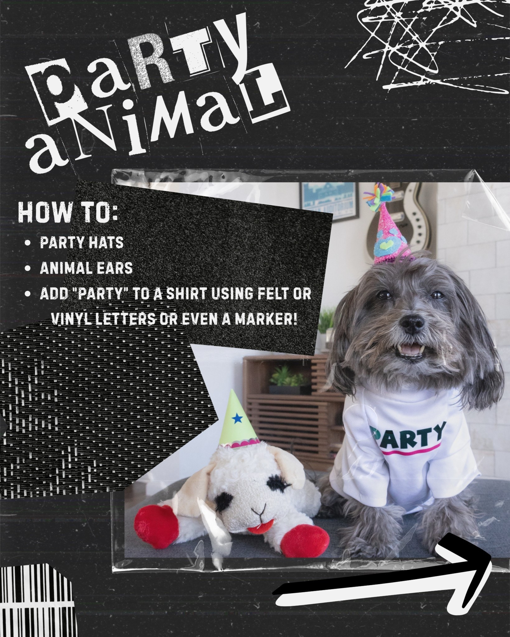 Last minute halloween ideas for the whole family - Party Animals! 

#LTKPets #LTKSeasonal #LTKHalloween