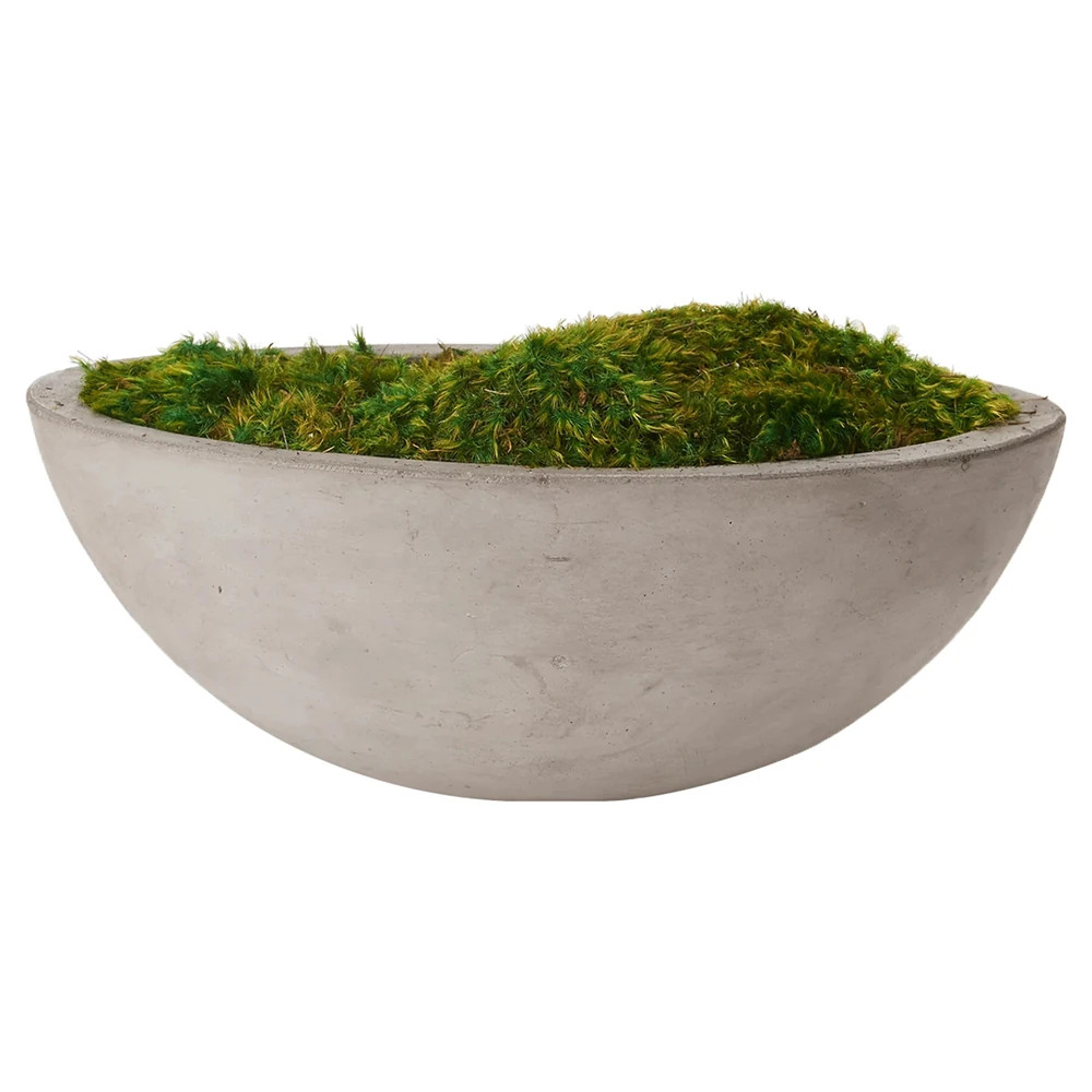 Caelan Updated Traditional Green Preserved Mood Moss | Kathy Kuo Home
