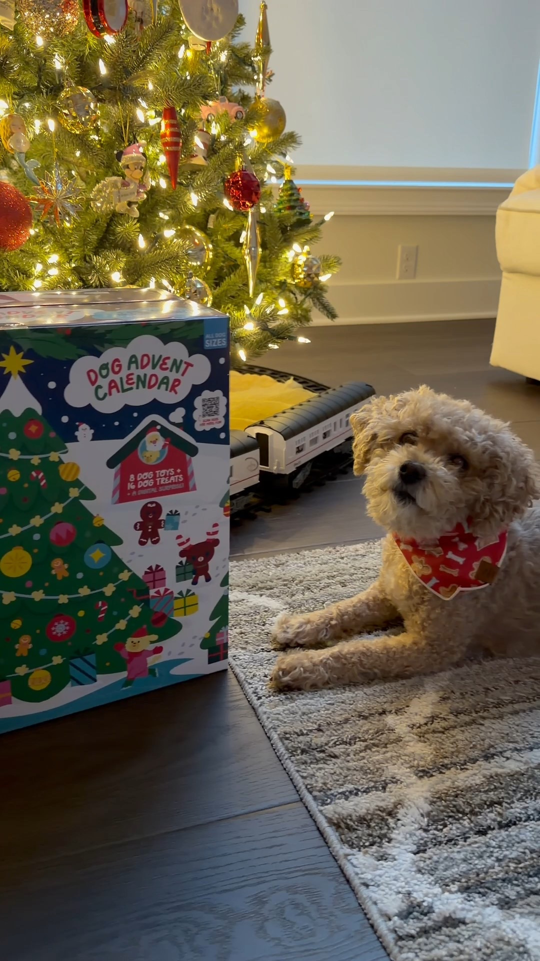 Day 1 of Charlie’s Bark Advent Calendar complete ✔️🎄🐾
This has become one of my favorite little traditions in our house! She has breakfast and then we open a door together every morning! I love watching her get SO excited like she realizes it’s that time again!!🥹 Today’s Christmas tree treat was gone in 0.2 seconds… and then she immediately attempted to open days 2-24 😂🤣🎁

#LTKHoliday #LTKGiftGuide #LTKSeasonal