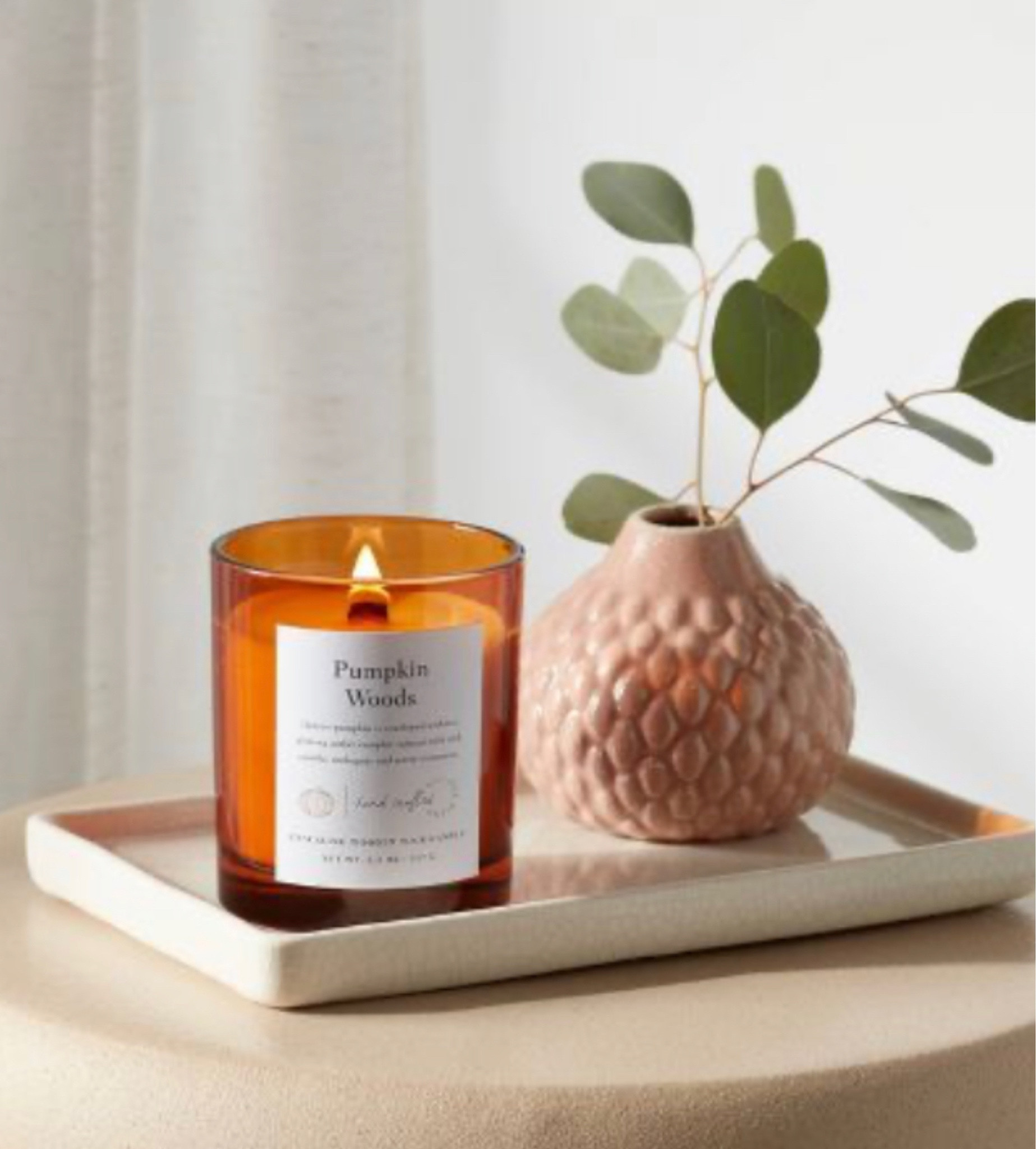 Get your home smelling like fall🍂🌾✨

#LTKhome #LTKSeasonal #LTKFind