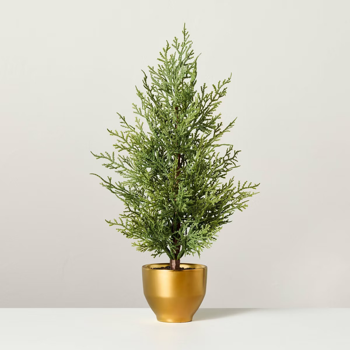 Faux Cypress Tree in Brass Pot - Hearth & Hand™ with Magnolia | Target