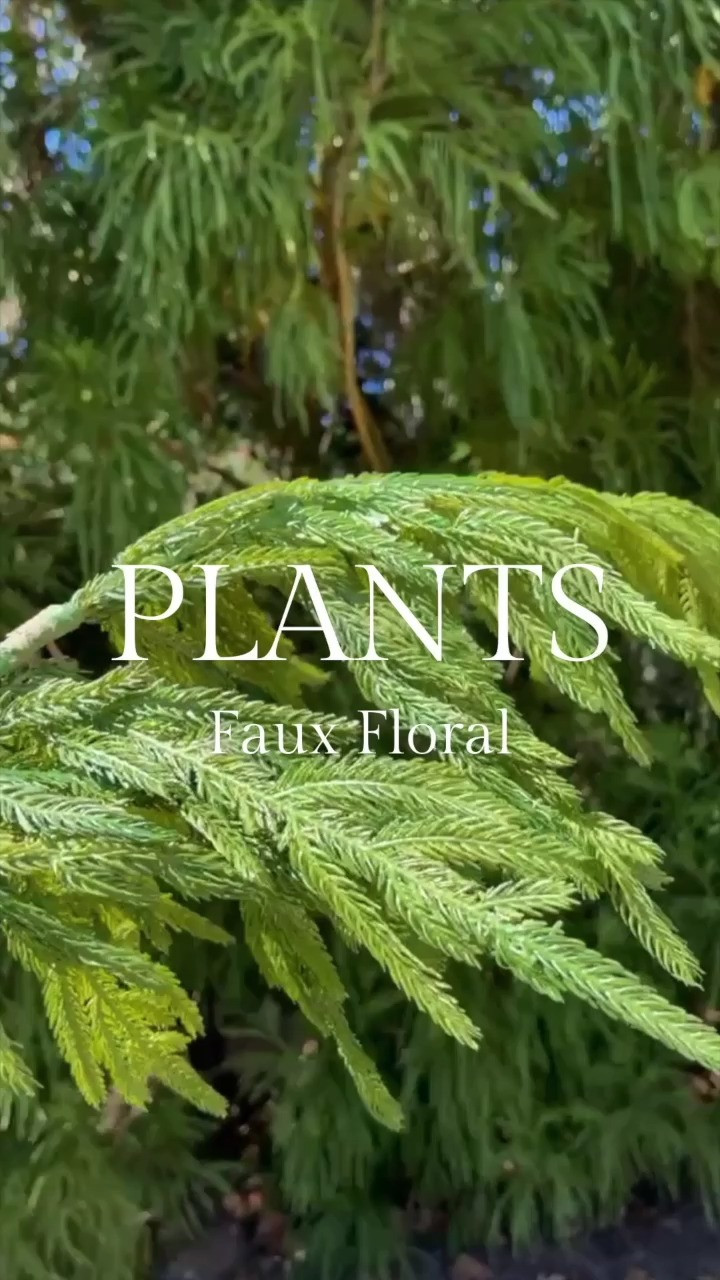 These faux flowers are NOT to be believed! Combine a few in a vase and it'll look like fresh winter greenery!

Comment “FAUX” to get product details sent to your DMs!

Important! Instagram requires that you follow me for this to work - their rules, their world. I just live in it!

Everything is also linked in my bio if IG decides to have a conniption fit and stop working! 

 #LTKHome #LTKParties #LTKFindsUnder50