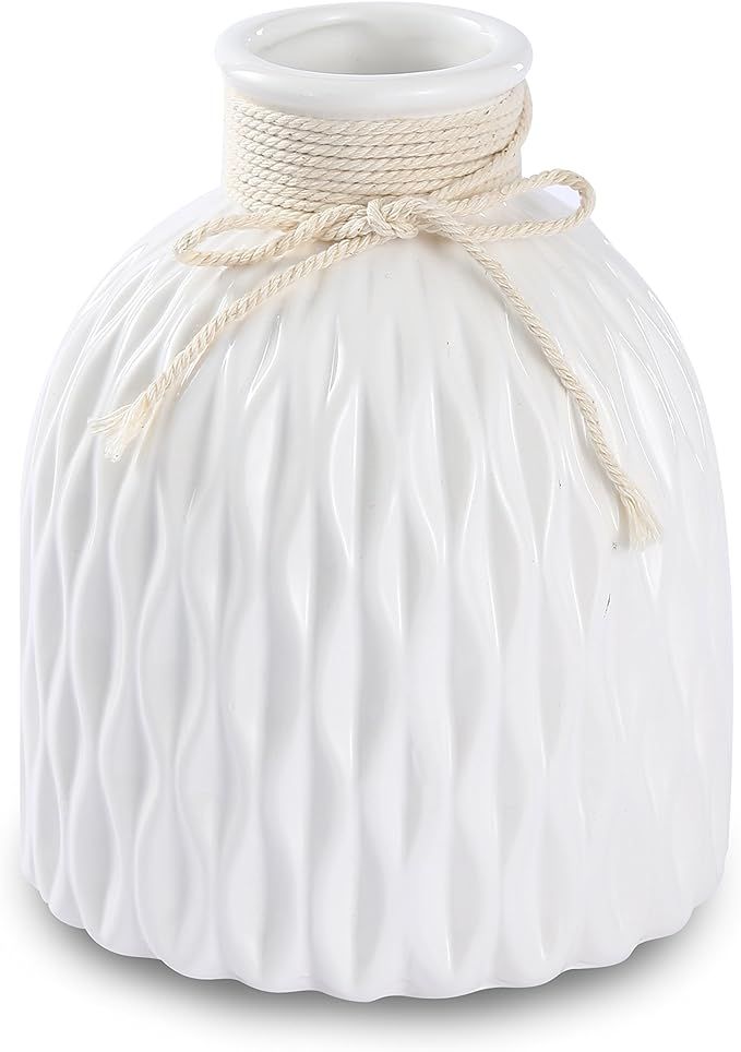 Anding Modern Vase Home Decoration Grid Design White Porcelain Bottle | Amazon (US)