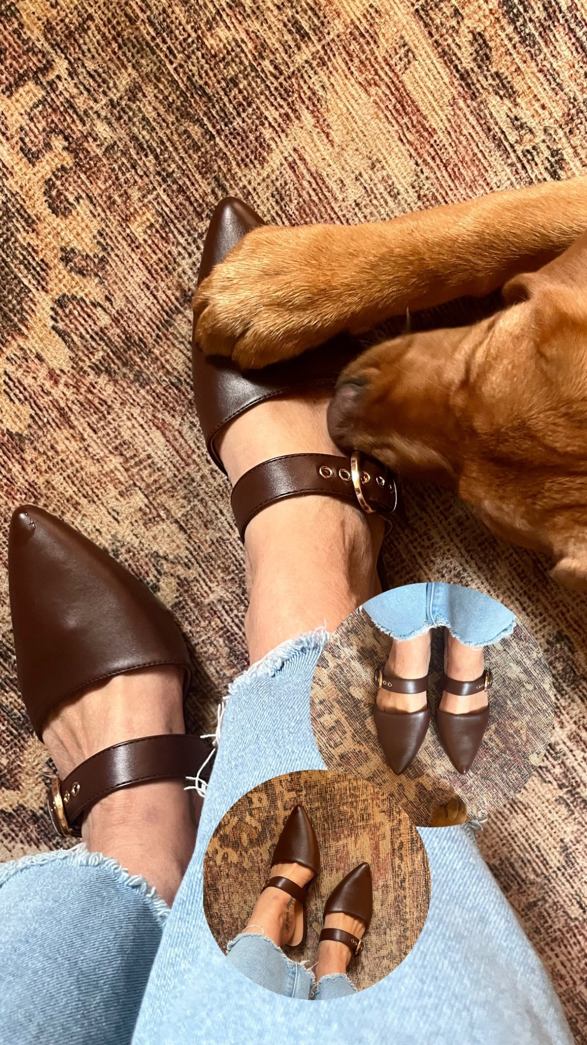 Sale!! Love my new mules and my rug is 71% off. Puppy approved 🤎

#LTKfashion #LTKstyle

#LTKHome #LTKSaleAlert
