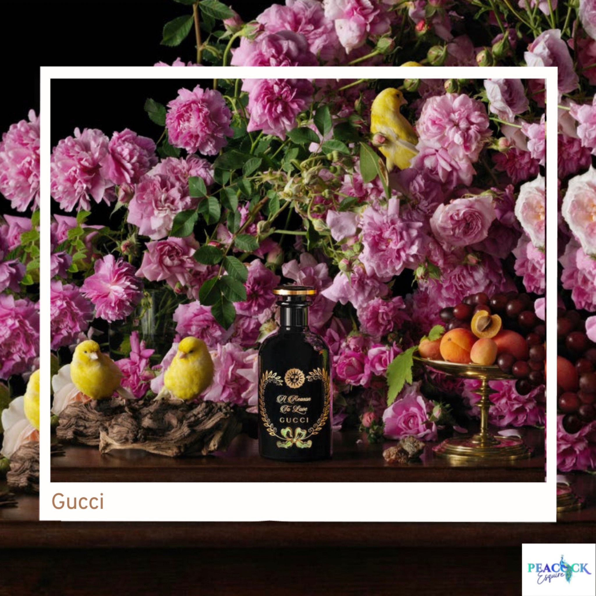 Valentine’s Day Gift for him or her

Totally obsessed with this collection of Gucci Perfumes 

#LTKFind #LTKbeauty #LTKSeasonal