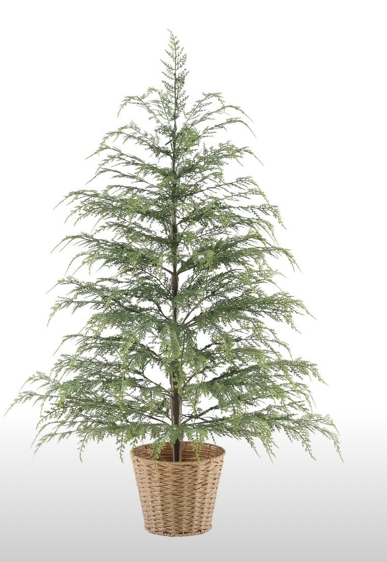 BACK IN STOCK!
4’ MTH Cyprus pre-lit tree

#LTKSeasonal #LTKHome