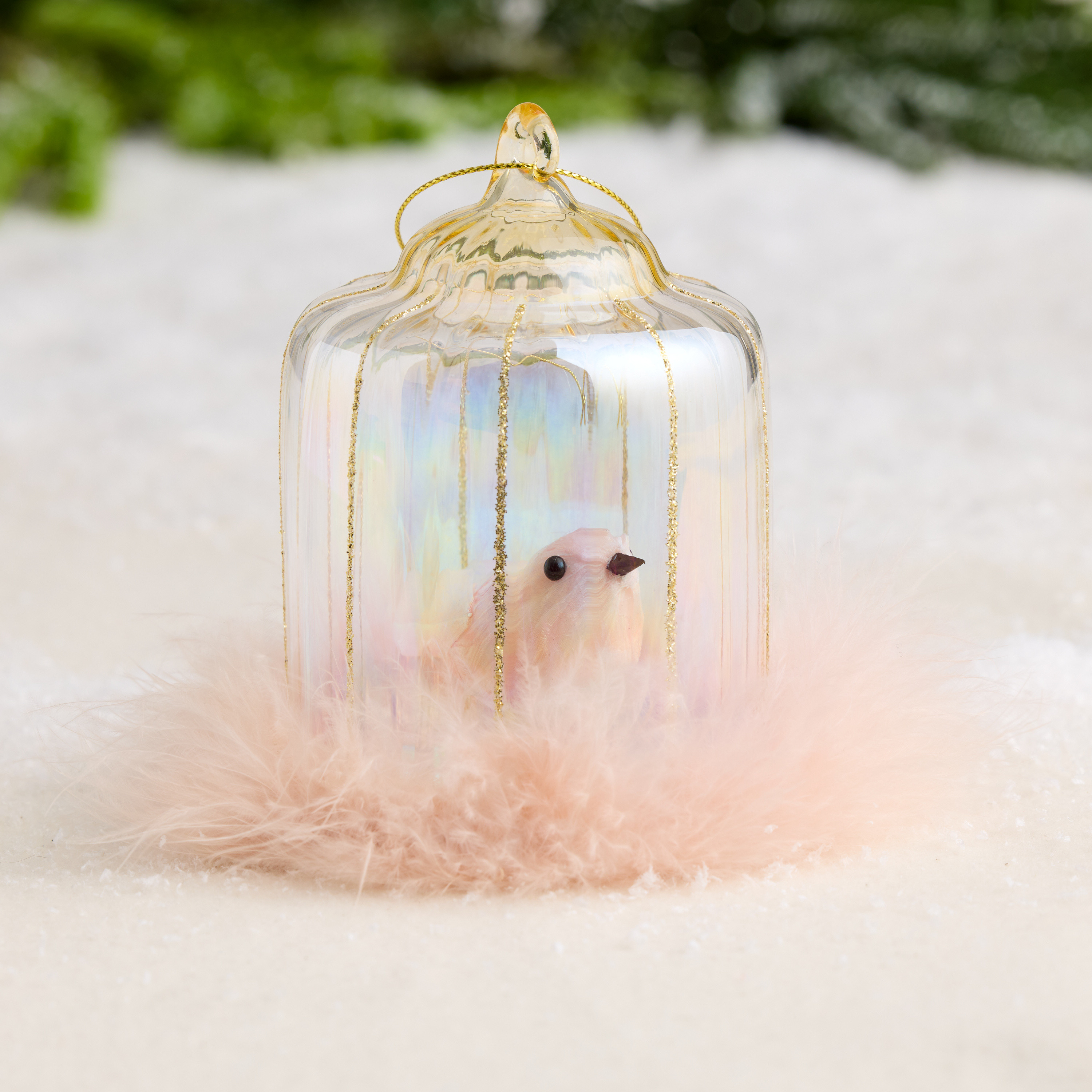 Glass Birdcage Cloche with Feathers Ornament | World Market