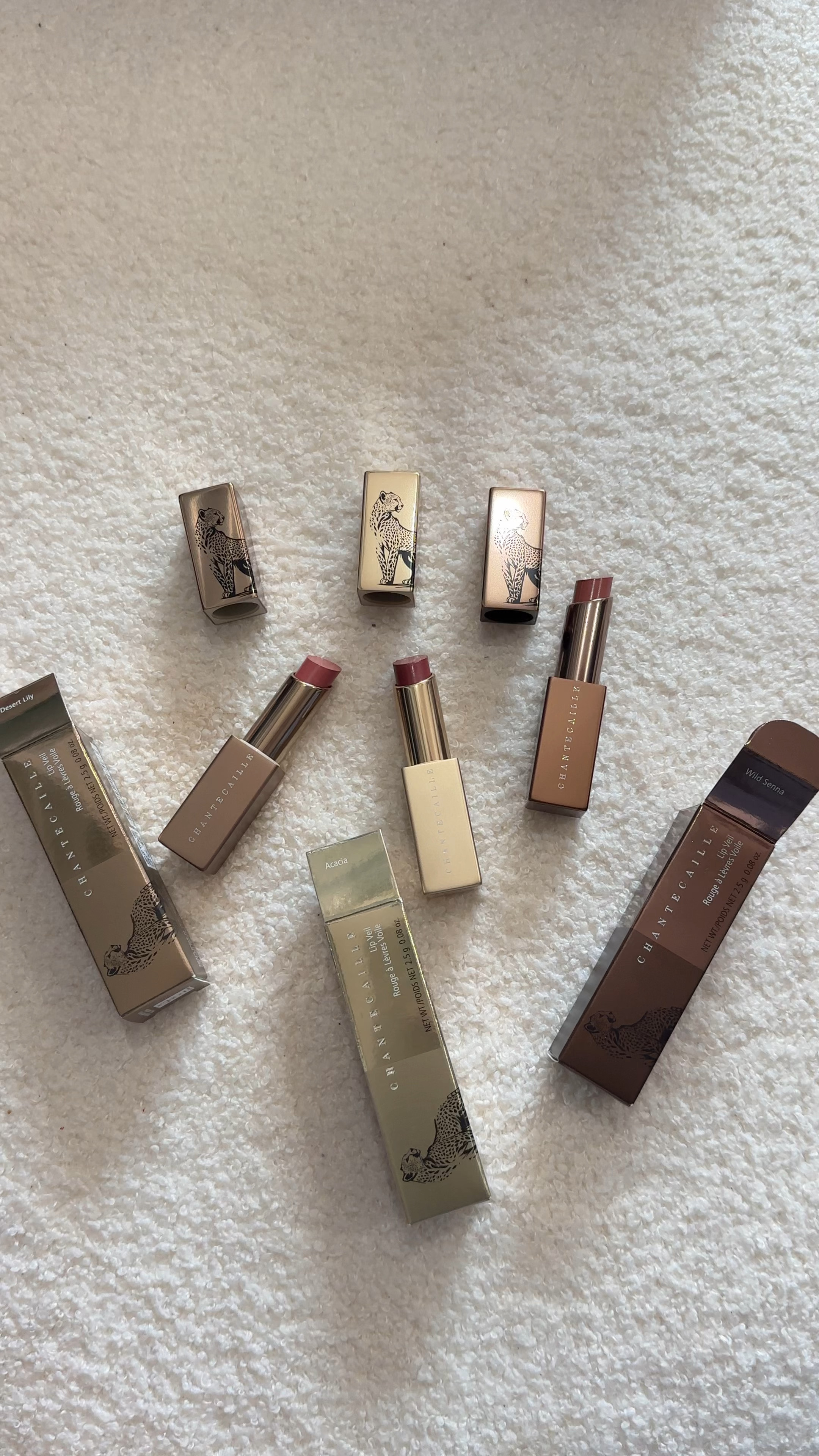What a chic lipstick collection from Chantecaille cheetah 



#LTKFindsUnder100 #LTKBeauty #LTKFindsUnder50