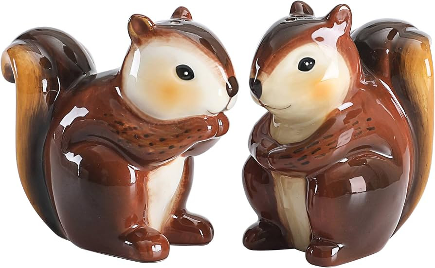 Bico Squirrel Salt & Pepper Shaker Set, Handpainted, Dishwasher Safe | Amazon (US)