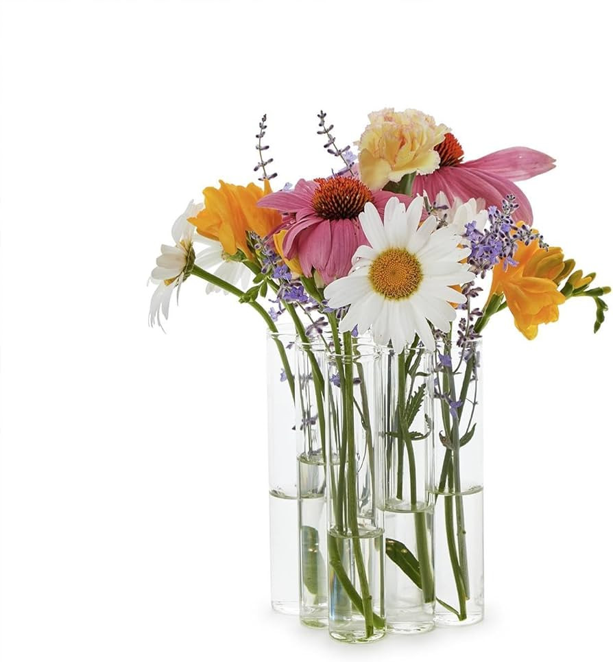 Two's Company Connected Tube Flower Vase, 6-Inch, Glass, Clear, Set of 9 | Amazon (US)