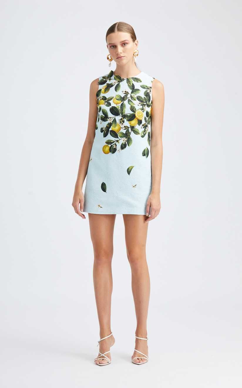 Sleeveless Lemon Print Shift Dress by Oscar de la Renta | Moda Operandi | Moda Operandi Global