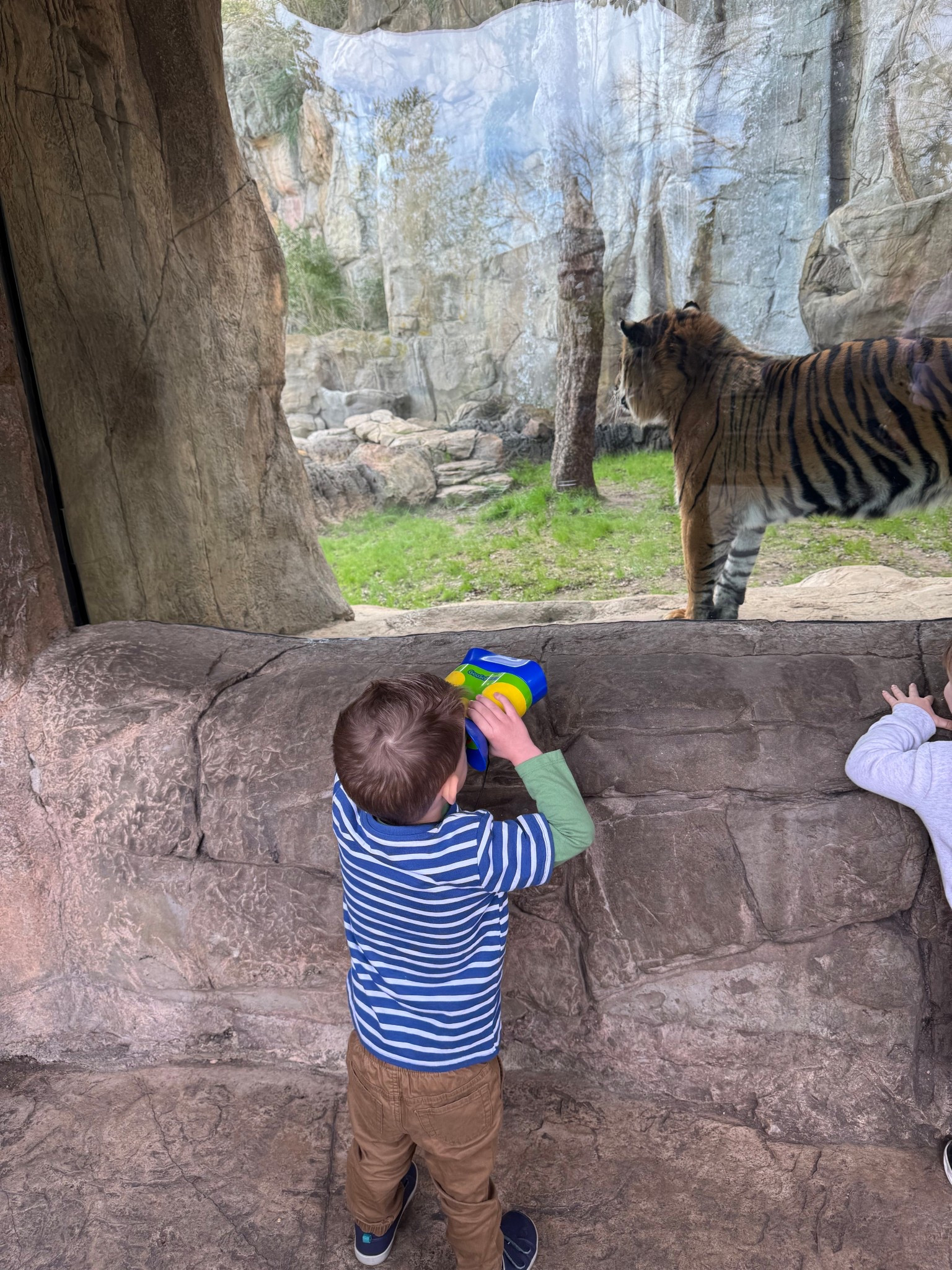 We LOVE these binoculars for kids and they actually work!!!

hese kid binoculars are designed just for kids: focus-free, oversized comfy eyepieces, 2x magnification, easy placement goggles, and a breakaway neck strap. Built tough for little hands