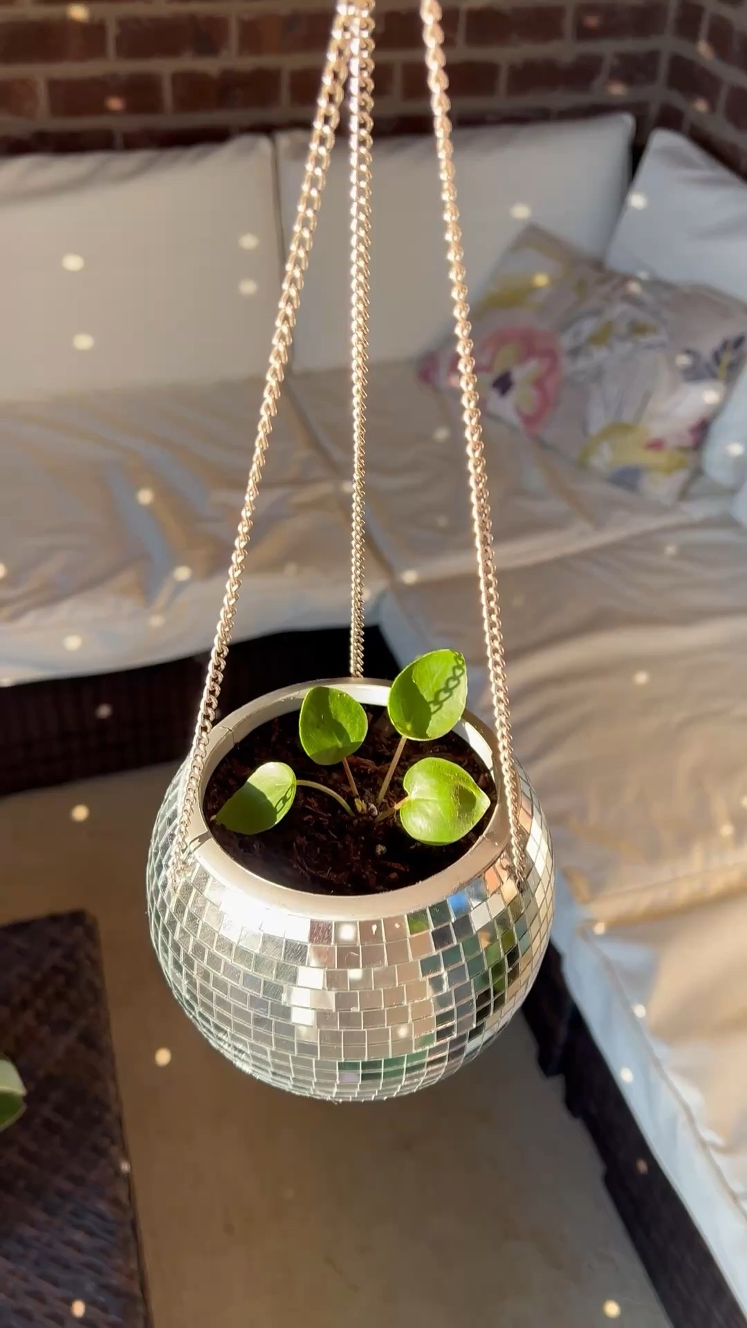 Everybody needs a disco planter 😍🪩 Linking some similar options here! #LTKplants

#LTKSeasonal #LTKHome