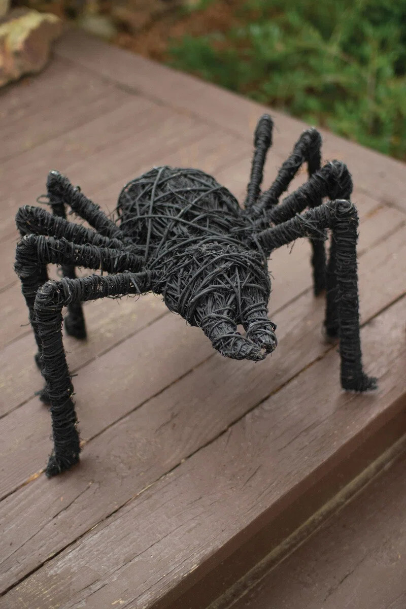 PAINTED TWIG SPIDER - BLACK | Birch Lane