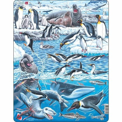 Beautiful Antarctica 66 Piece Children's Educational Jigsaw Puzzle | Target