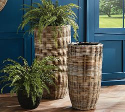 Diego Handwoven Rattan Planters | Pottery Barn (US)