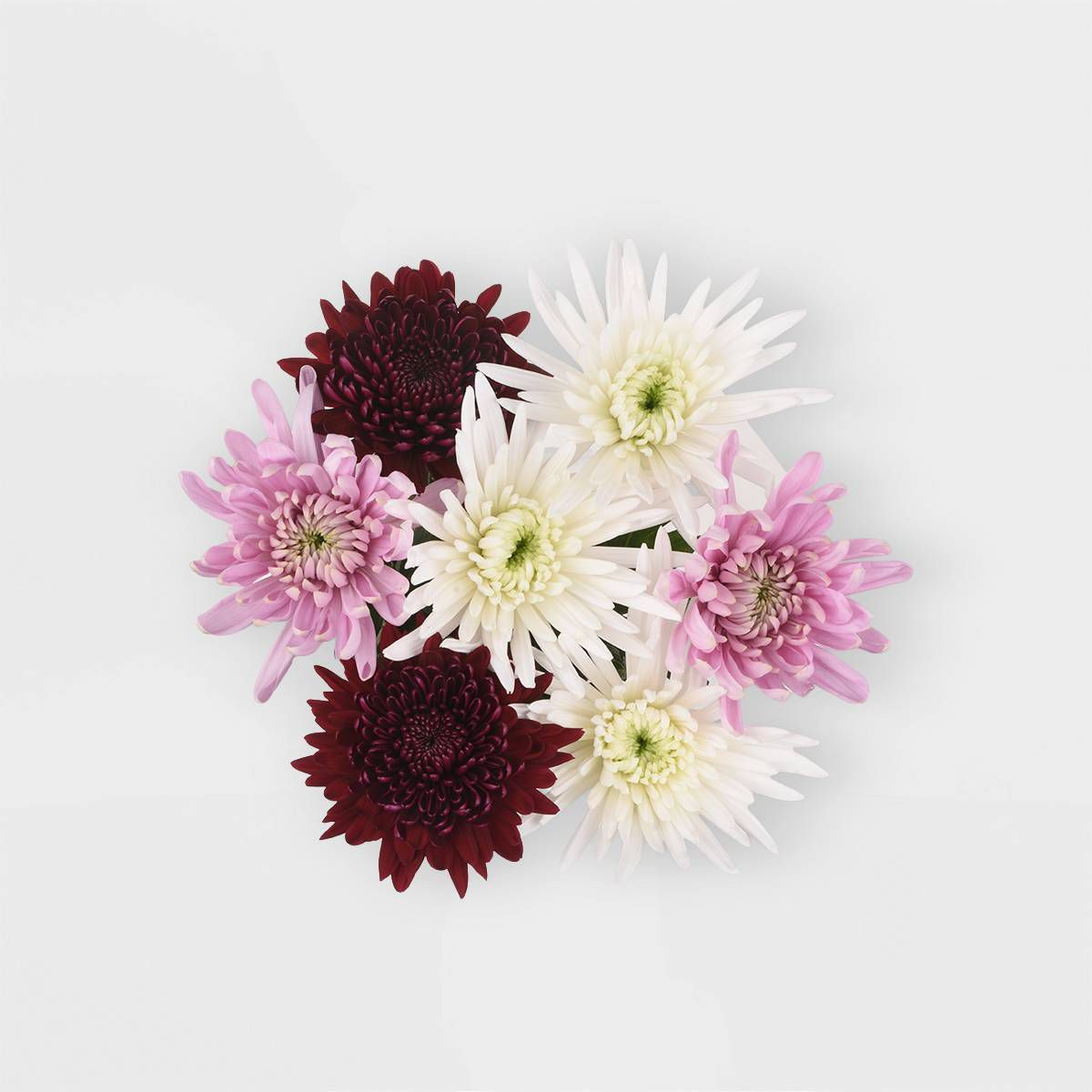 Fresh Cut Rainbow Disbud Flowers - Good Little Garden™ | Target
