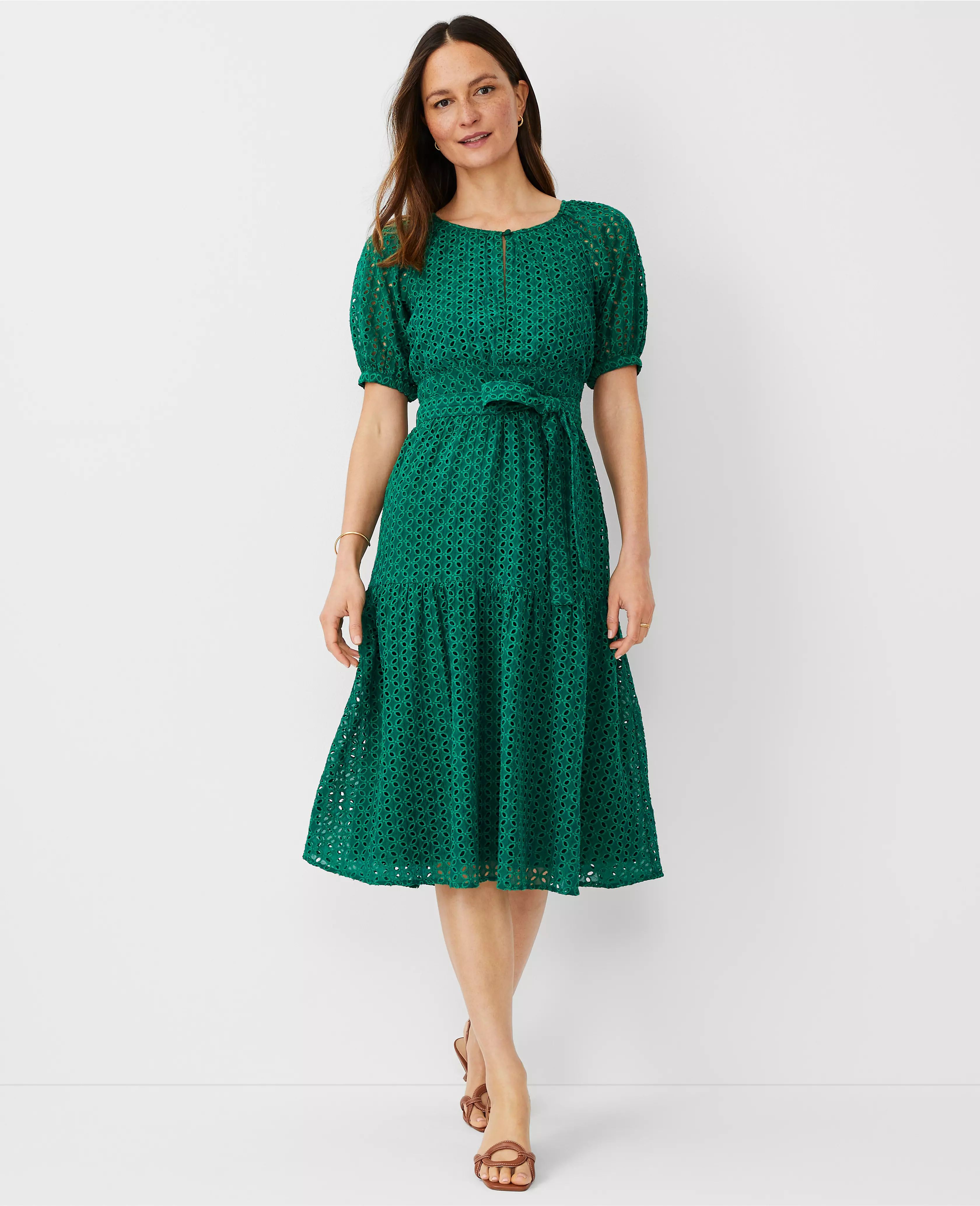 Eyelet Puff Sleeve Flare Dress | Ann Taylor (US)