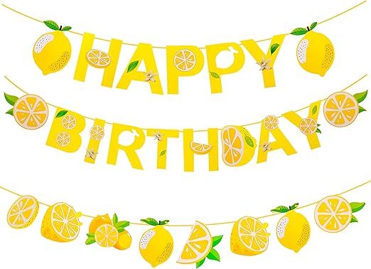 Lemon Party Decoration,Lemon Happy Birthday Banner for lemonade birthday party decorations,Lemona... | Amazon (US)