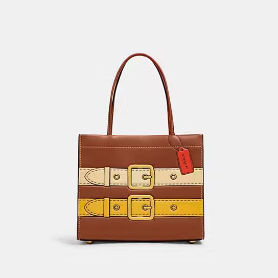 Cashin Carry 22 With Trompe L'oeil Print | Coach (US)