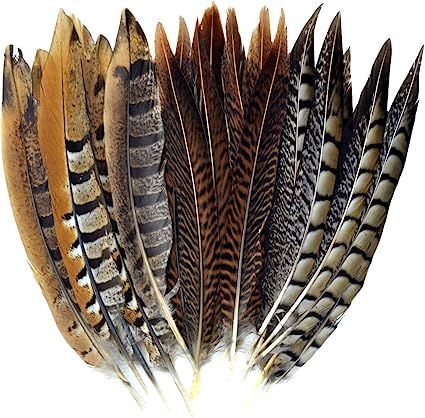 obmwang 21 Pcs 20-25cm Natural Pheasant Feathers for DIY Craft Wedding Home Party Decorations, 3 ... | Amazon (US)