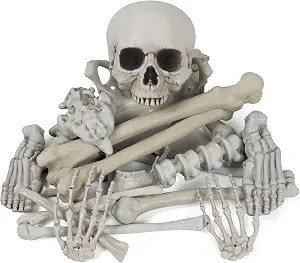 Bag of Bones Halloween Life Size Skeleton Skull for Decoration and Spooky Graveyard 28 PCS | Amazon (US)