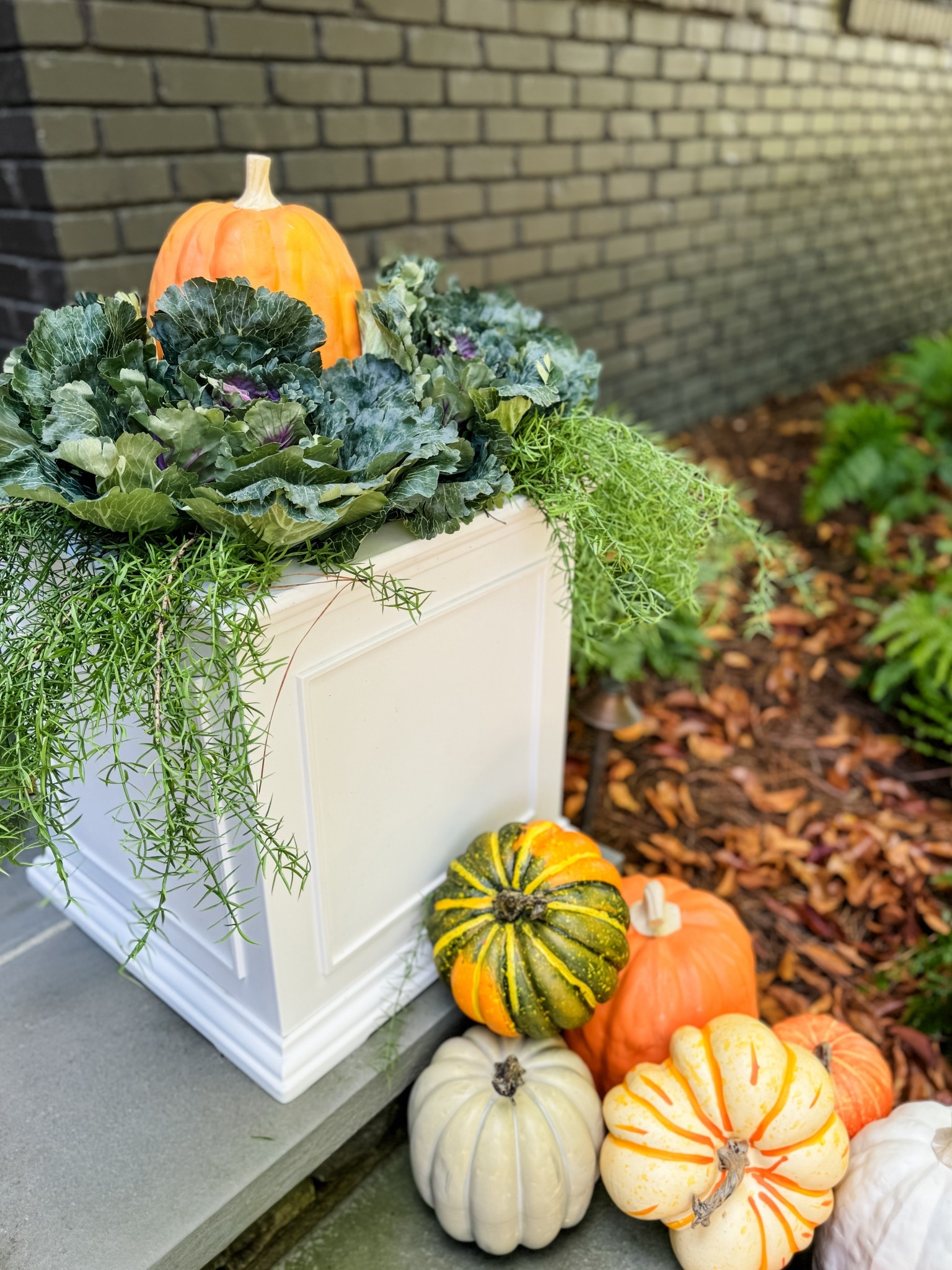 Fall Must Have! These faux cabbages are the perfect finishing touch to my fall porch decor. I love that they add a touch of green foliage to the space in a unique way. They look so realistic and I’ll be able to use them for many years to come!

Faux cabbages, fall porch decor, outdoor fall decorations, realistic faux plants, fall greenery, front porch styling, autumn porch ideas, seasonal home decor, porch decorating ideas, artificial fall plants, long lasting decor pieces, outdoor faux foliage, front porch makeover, cozy fall porch, timeless fall decorations, front door decor, neutral fall accents, realistic artificial cabbages, durable outdoor decor, fall decorating inspiration

#LTKFindsUnder50 #LTKHome #LTKSeasonal