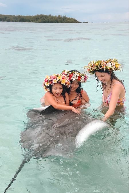 Matching Family Swimsuit Set Girls & Mom 

Amanda is wearing CUPSHE Women's One Piece Swimsuit Tummy Control V Neck Bathing Suits in Orange (XL)

Addison fifteen is wearing Blooming Hibiscus Girls Knot Bikini in Y14

Audrey is wearing Blooming Hibiscus Ruffle One Piece Swimsuit in Y8

We went to French Polynesia and got some family photos done. 

Mother daughter swimsuit idea, matching family swimsuits, cute swimsuit for resorts or beach days 

#LTKkids #LTKfamily #LTKswim