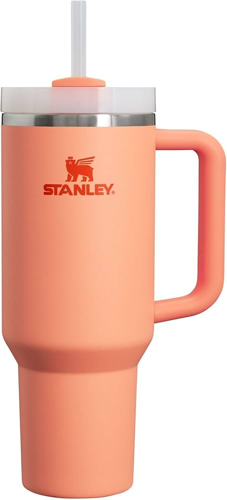 Stanley Quencher H2.0 FlowState Stainless Steel Vacuum Insulated Tumbler with Lid and Straw for W... | Amazon (US)
