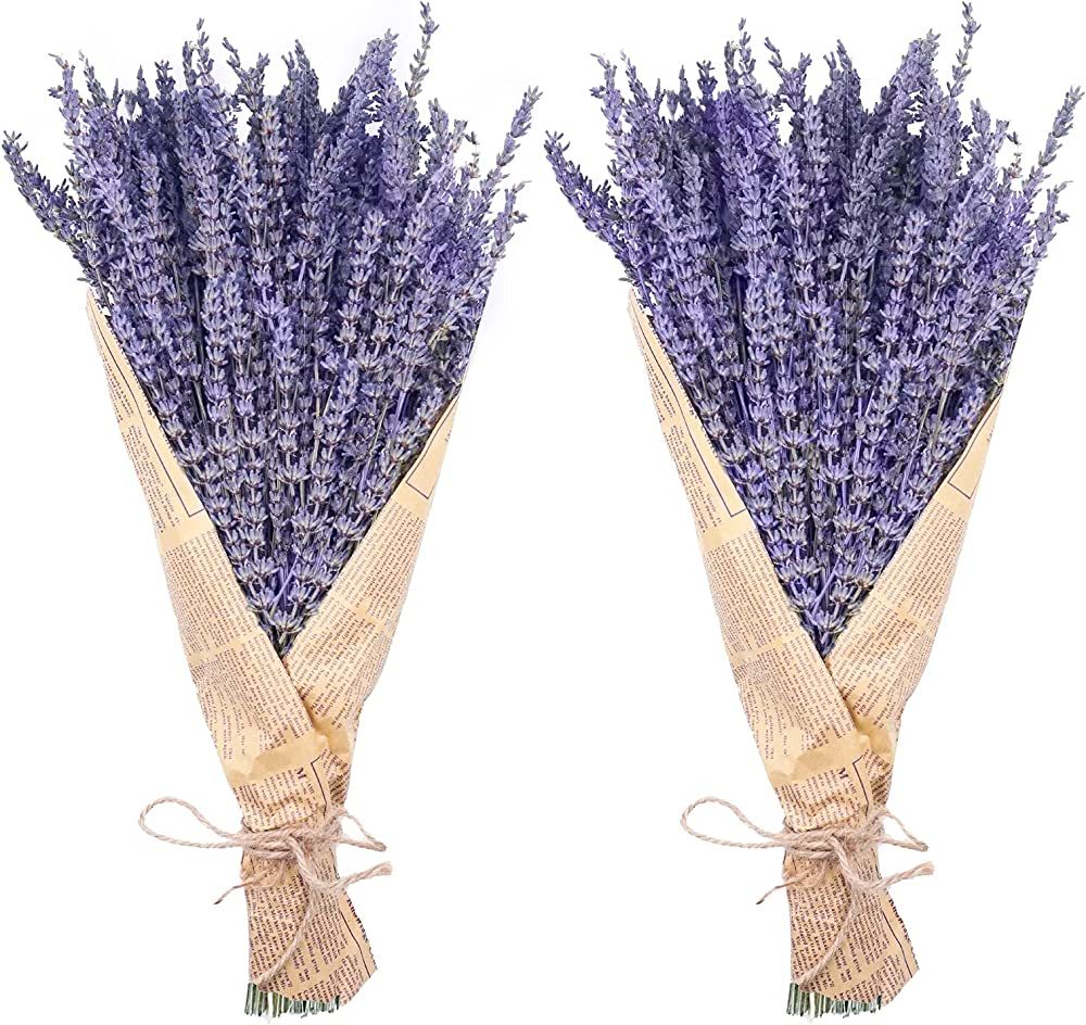 Uieke Dried Lavender Bundles, Natural Dried Lavender Flowers 280-300 Stems 16“ for Home Weedi... | Amazon (US)