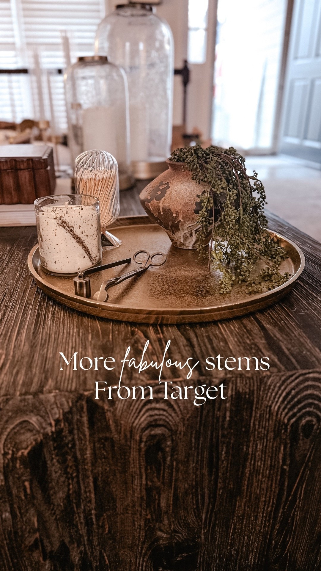 More fabulous faux stems from Target 🌿✨ And can we talk about that vase? The perfect neutral, aged texture that makes any arrangement look collected and cozy. Simple styling pieces that instantly elevate a space.

Amie Pagan, target stems, home decor inspo, natural vase, faux stems 

#LTKHome #LTKFindsUnder50